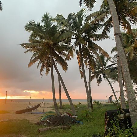 Shoreline Marari Beach Villa At Golden Beach Mararikulam Alappuzha Екстер'єр фото